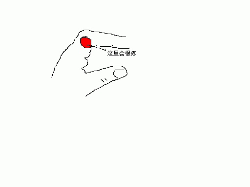 շ⡣