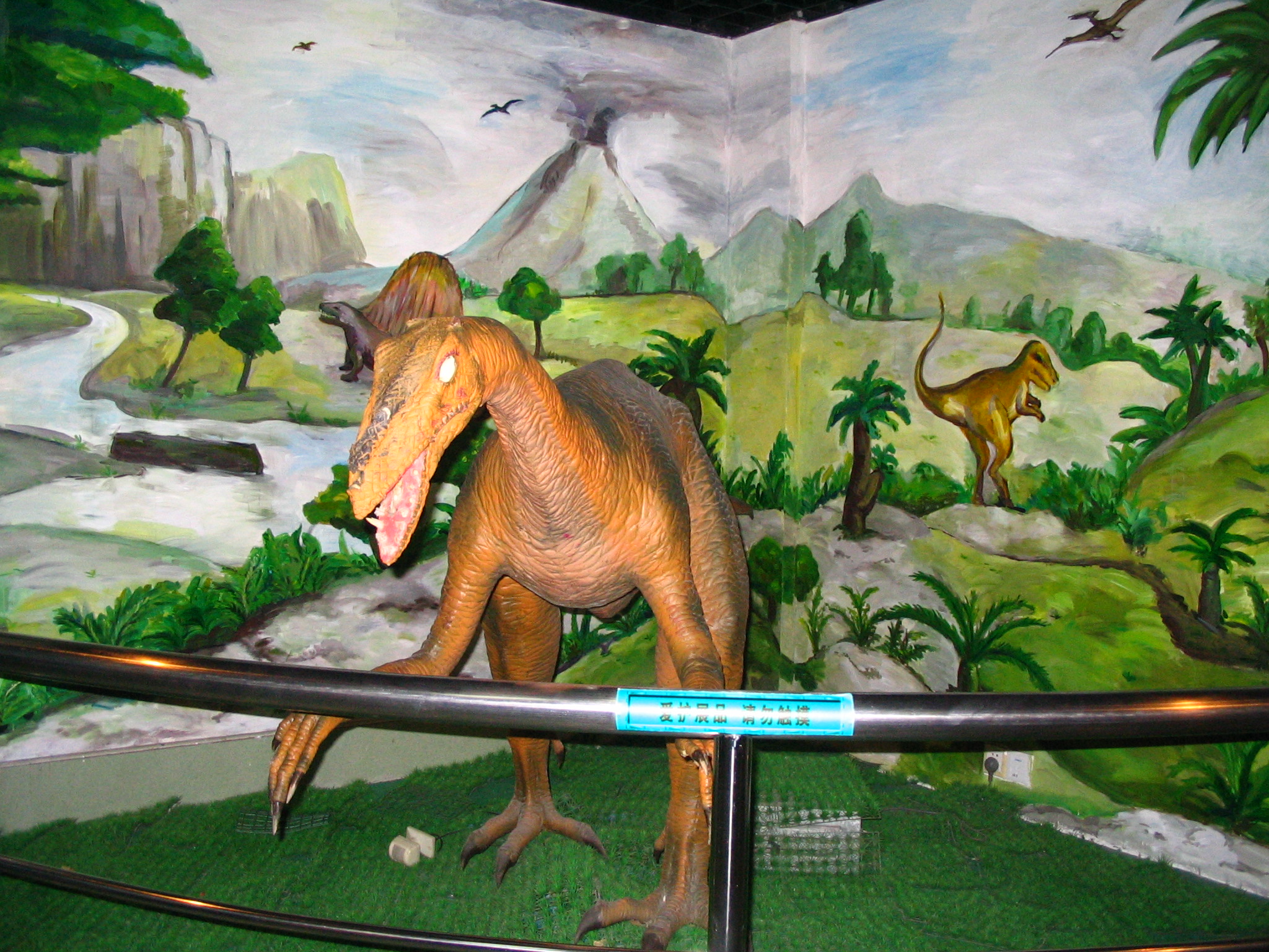 ��У��11����֯ѧ���ιۿ�ѧ����Ƭ