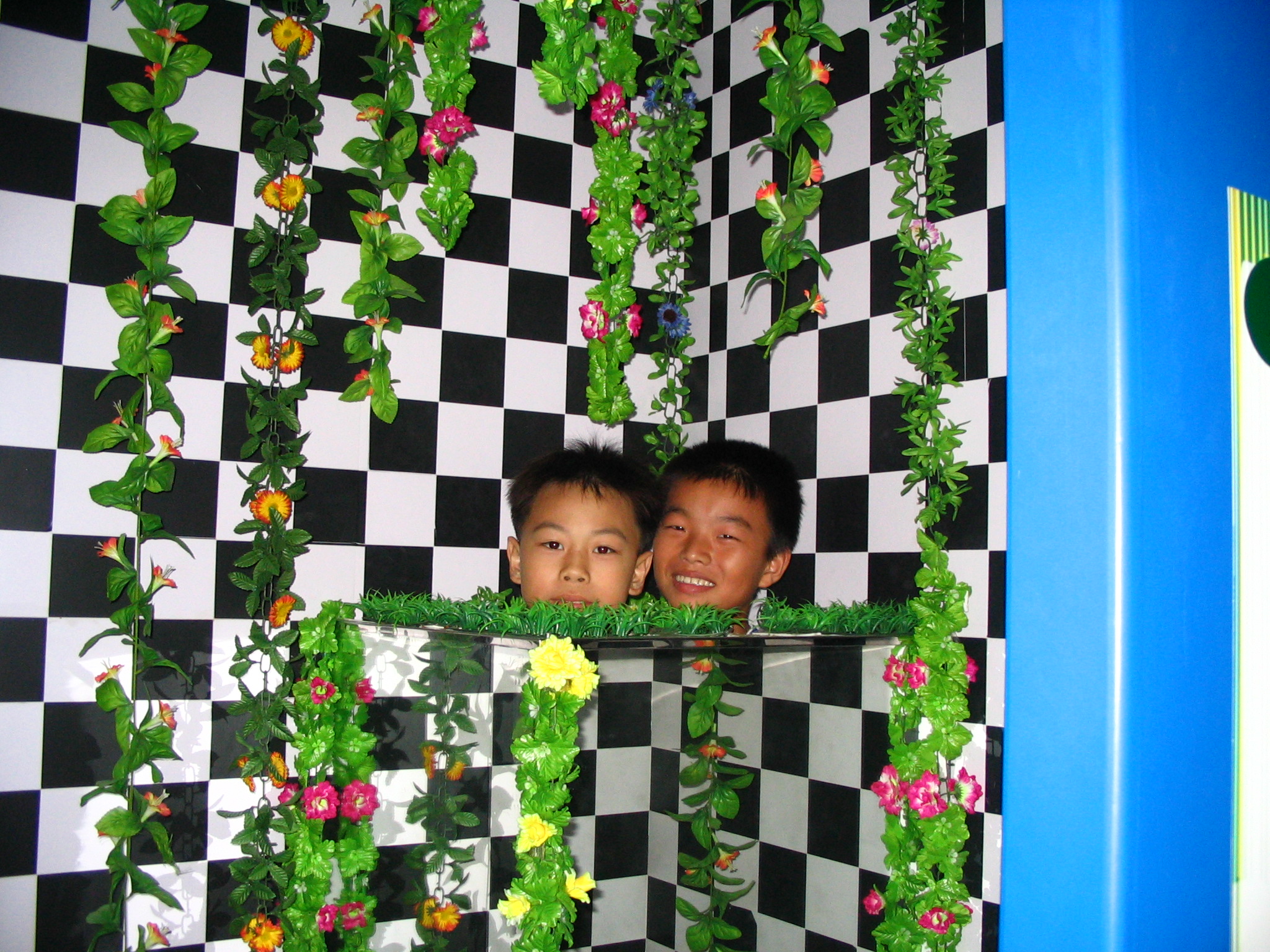 ��У��11����֯ѧ���ιۿ�ѧ����Ƭ