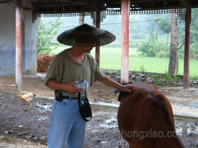 ֧�̽�ʦ����ר����������ɽ�����Ժ�Х